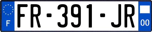 FR-391-JR