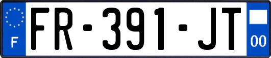 FR-391-JT