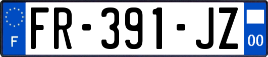 FR-391-JZ