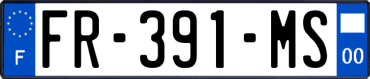 FR-391-MS
