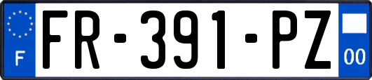 FR-391-PZ