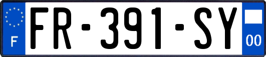 FR-391-SY