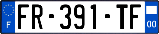 FR-391-TF