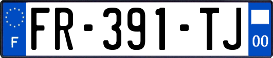 FR-391-TJ