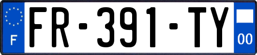 FR-391-TY