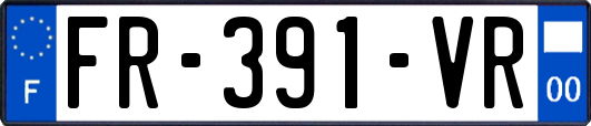 FR-391-VR