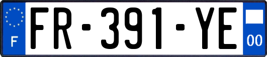 FR-391-YE