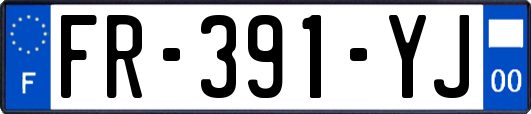 FR-391-YJ