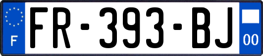 FR-393-BJ