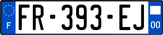 FR-393-EJ