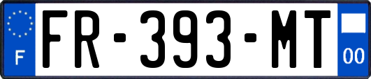 FR-393-MT
