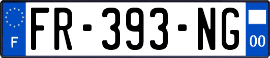 FR-393-NG