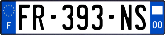 FR-393-NS
