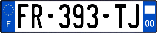 FR-393-TJ