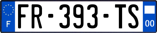 FR-393-TS