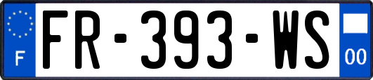 FR-393-WS