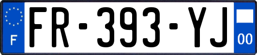 FR-393-YJ