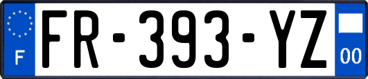 FR-393-YZ