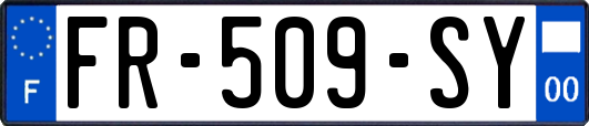 FR-509-SY