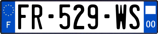 FR-529-WS