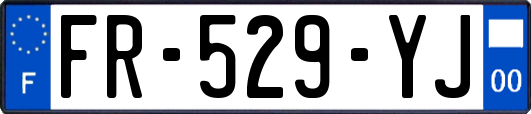 FR-529-YJ