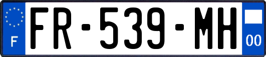 FR-539-MH