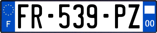 FR-539-PZ