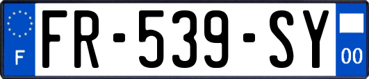 FR-539-SY