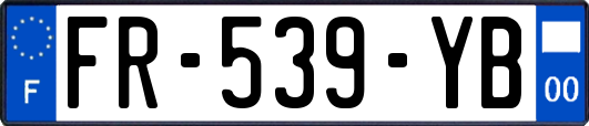 FR-539-YB
