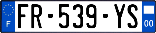 FR-539-YS