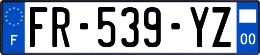 FR-539-YZ