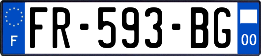 FR-593-BG