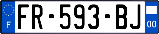 FR-593-BJ