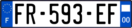 FR-593-EF