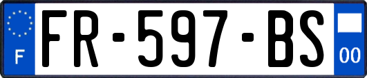 FR-597-BS