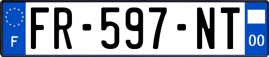 FR-597-NT