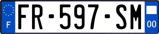 FR-597-SM