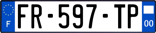 FR-597-TP