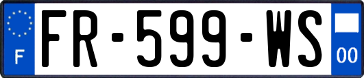 FR-599-WS