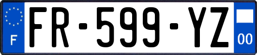 FR-599-YZ