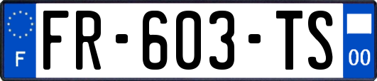 FR-603-TS