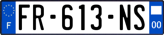 FR-613-NS