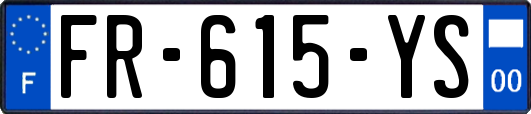 FR-615-YS