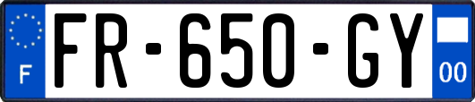 FR-650-GY