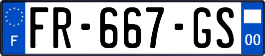 FR-667-GS