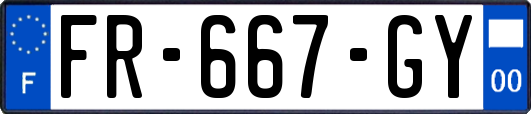 FR-667-GY