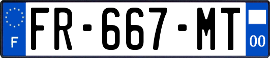 FR-667-MT