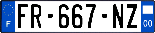 FR-667-NZ
