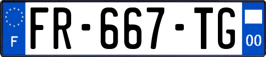 FR-667-TG