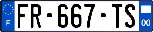 FR-667-TS